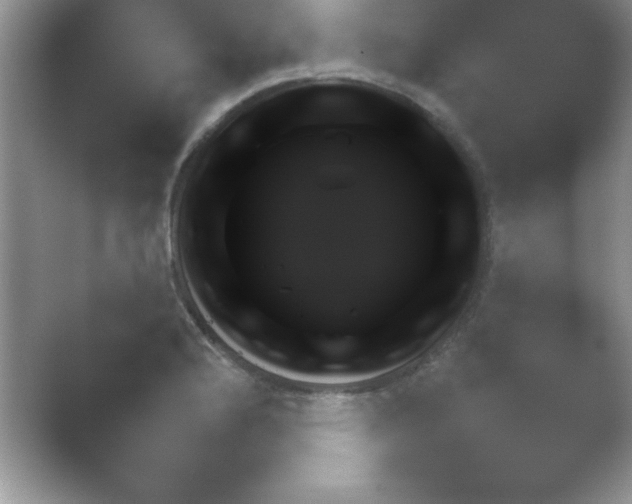 X0000054731176200508171844.png