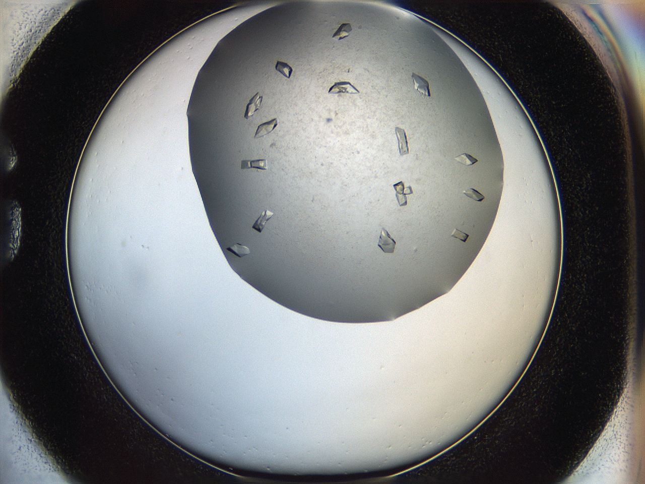 05fz_G1_ImagerDefaults_9.jpg