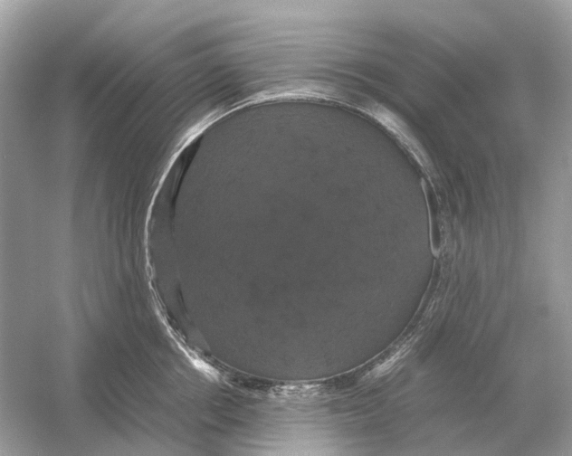 X0000054350858200508190126.png