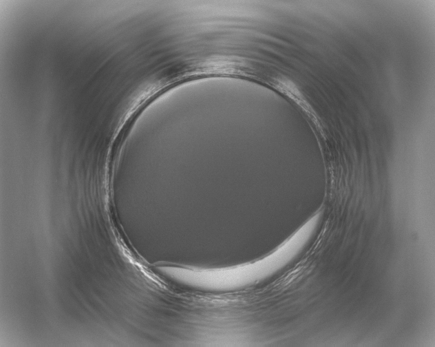 X0000054350994200508190123.png