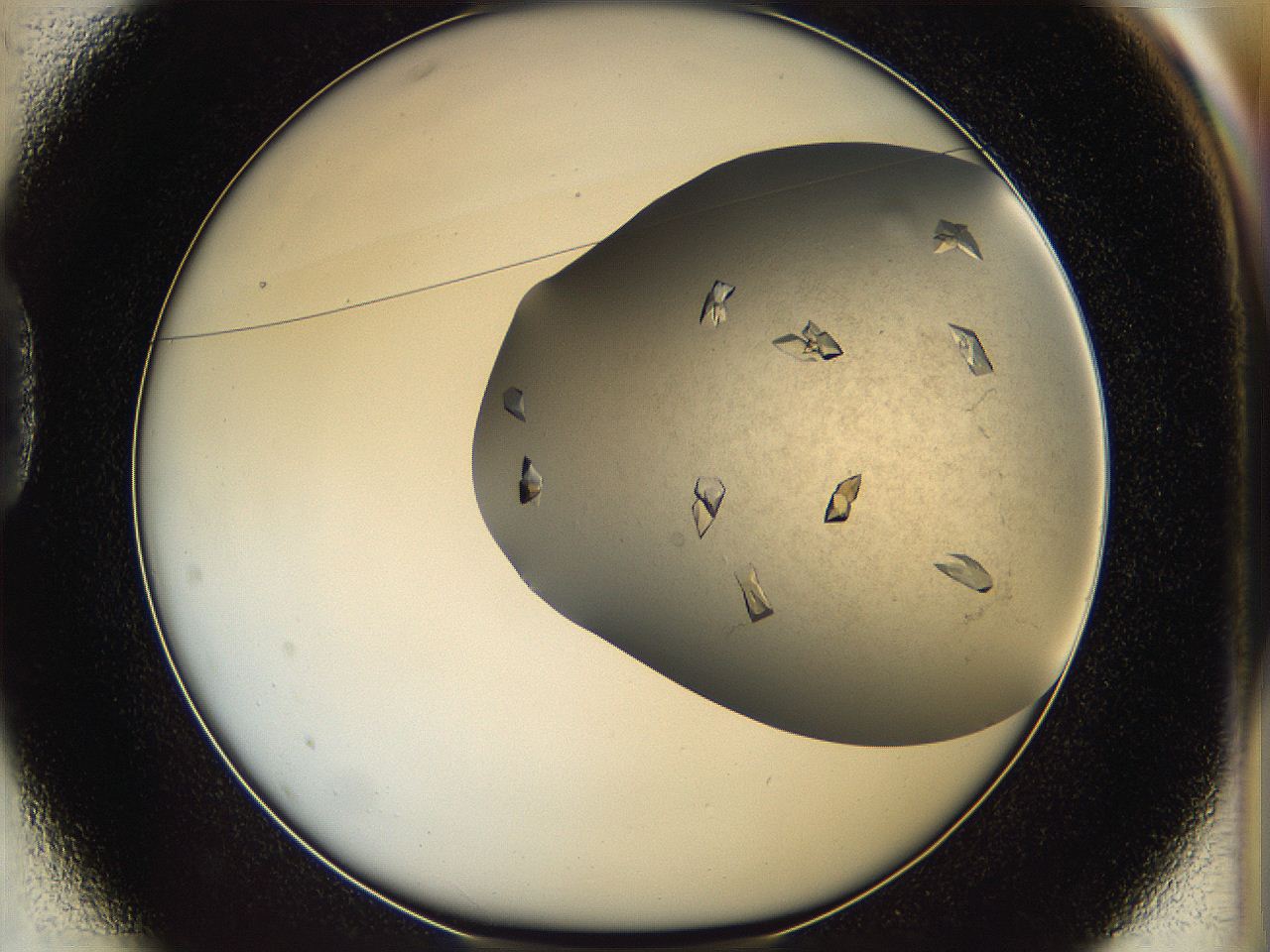 05fz_D1_ImagerDefaults_9.jpg
