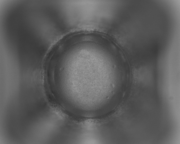 X0000052280064200507132039.png