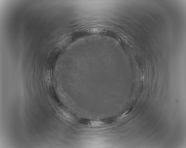 X0000054350605200508190130.png