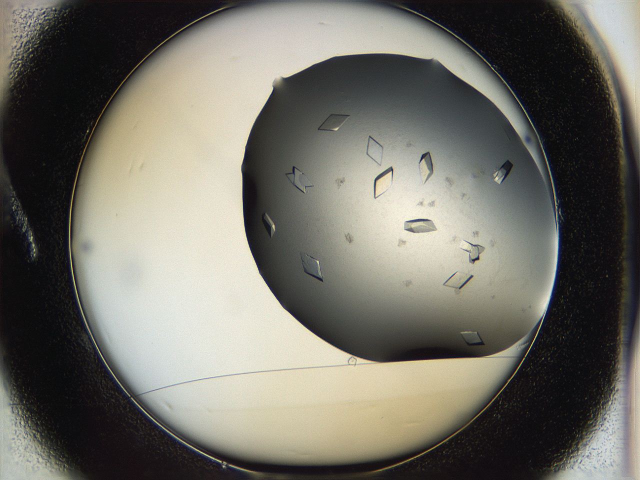 05fz_A1_ImagerDefaults_9.jpg