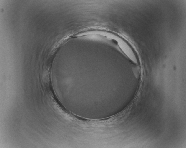 X0000054170009200508101811.png