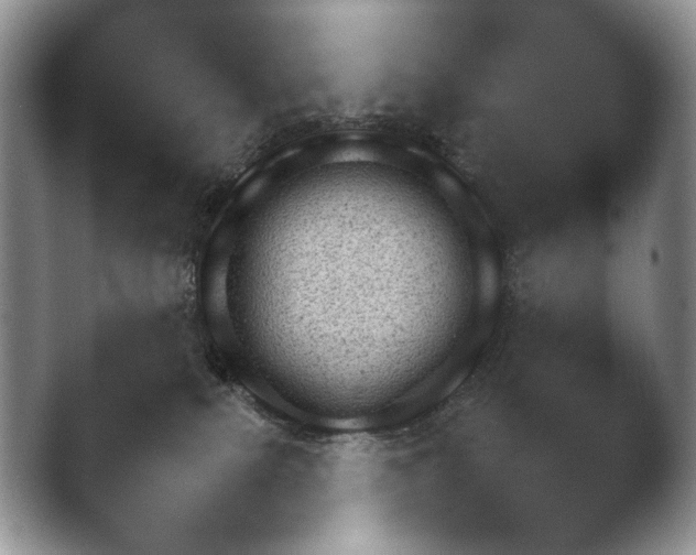 X0000042500087200411221324.png