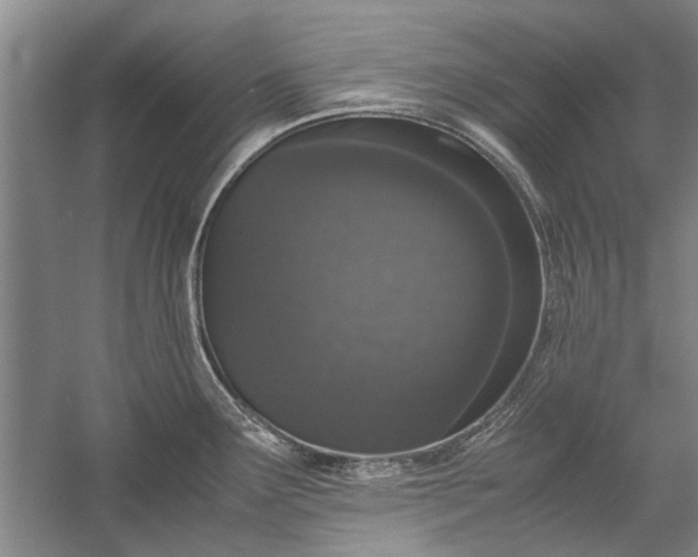 X0000055061291200508161636.png
