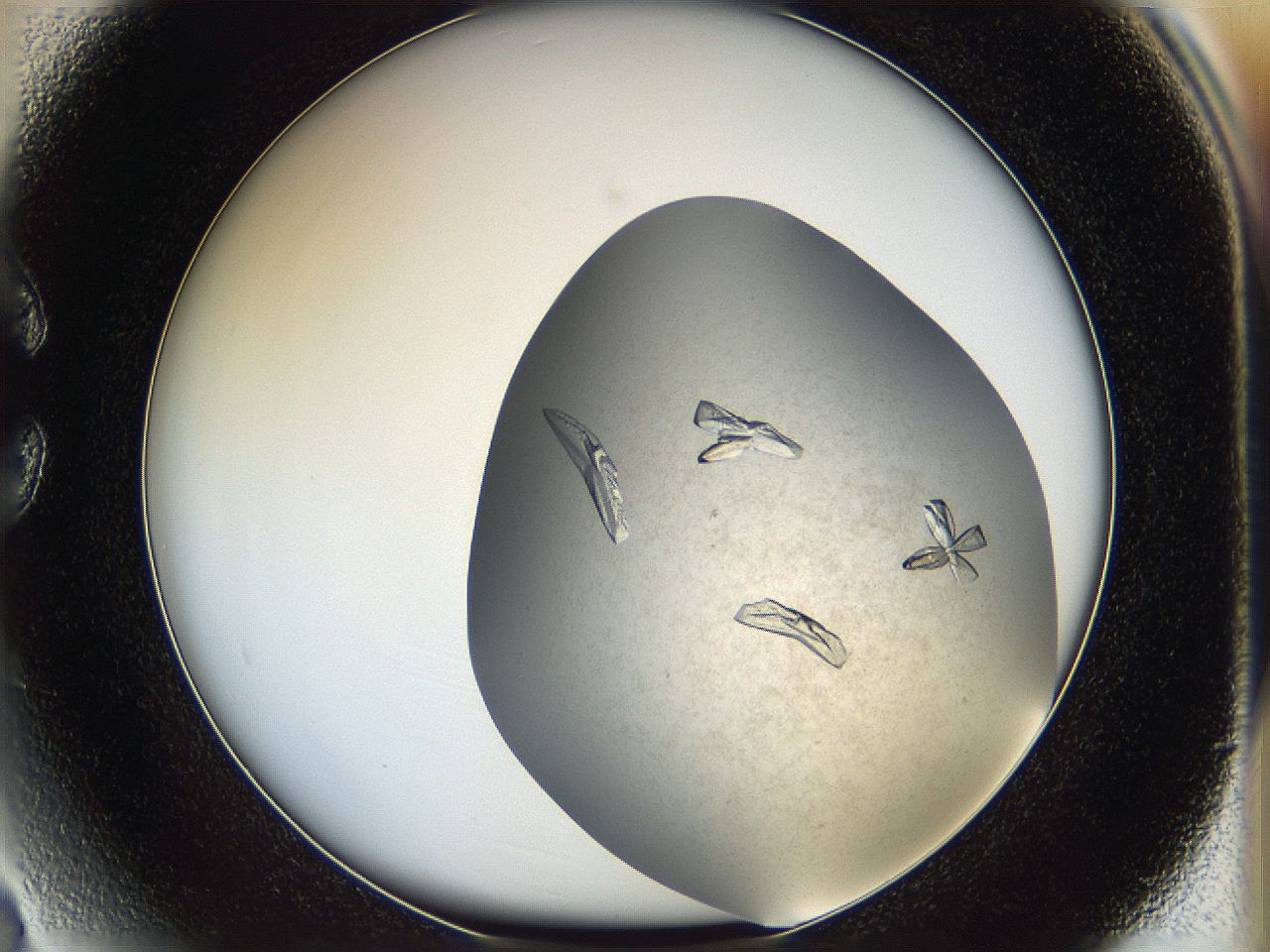 05fz_C3_ImagerDefaults_8.jpg