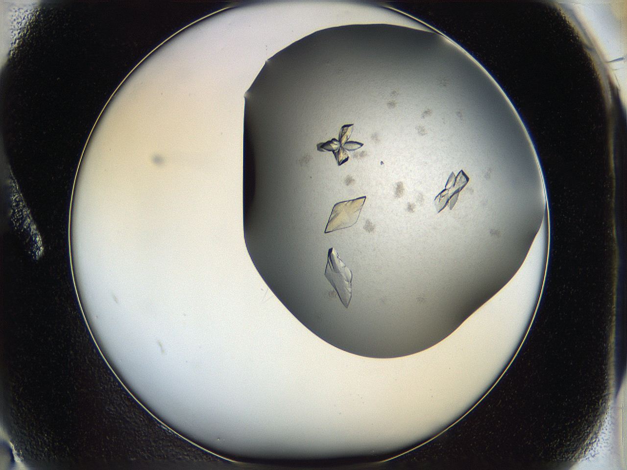 05fz_A2_ImagerDefaults_8.jpg
