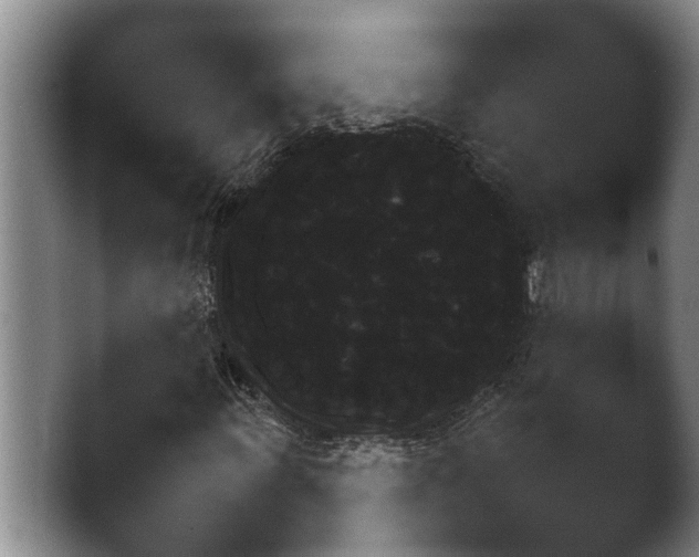X0000046891011200502151151.png