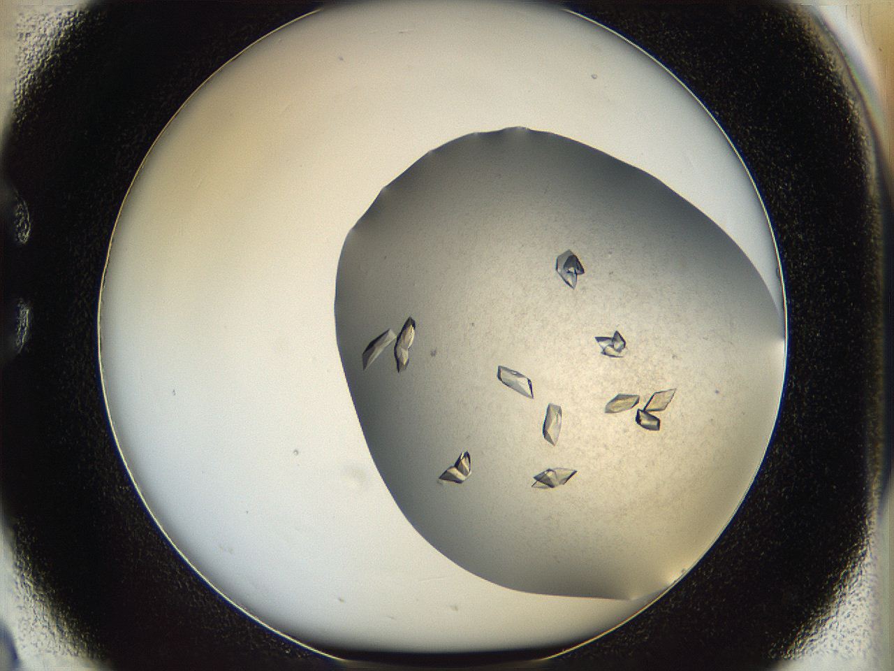 05fz_C2_ImagerDefaults_9.jpg