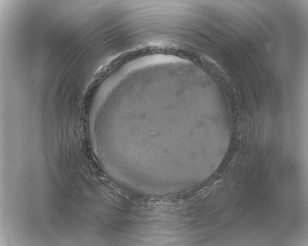 X0000054350776200508190127.png
