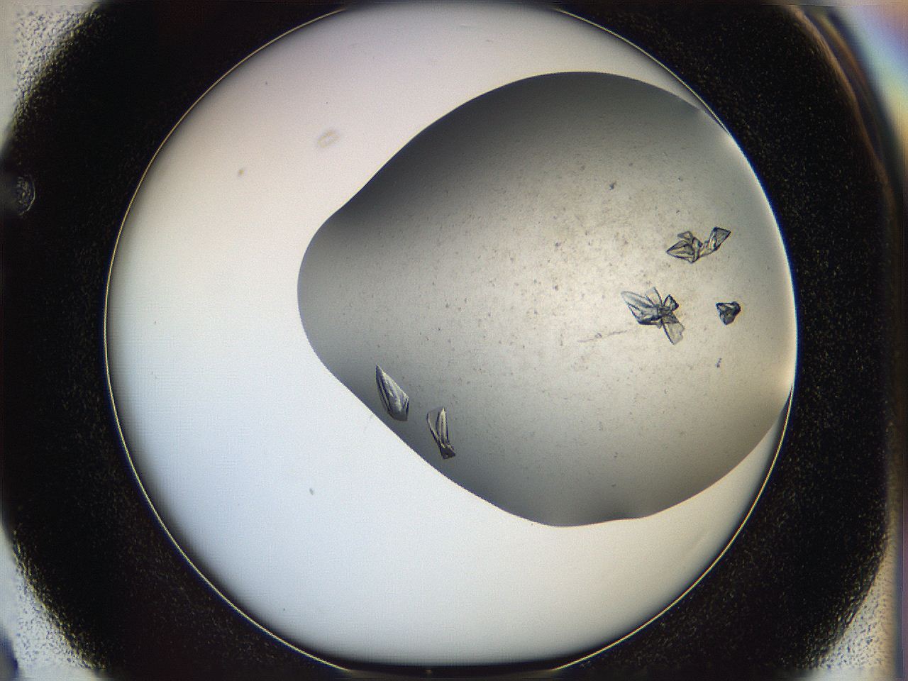 05fz_F3_ImagerDefaults_8.jpg