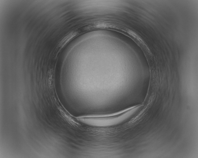 X0000055250801200509071614.png