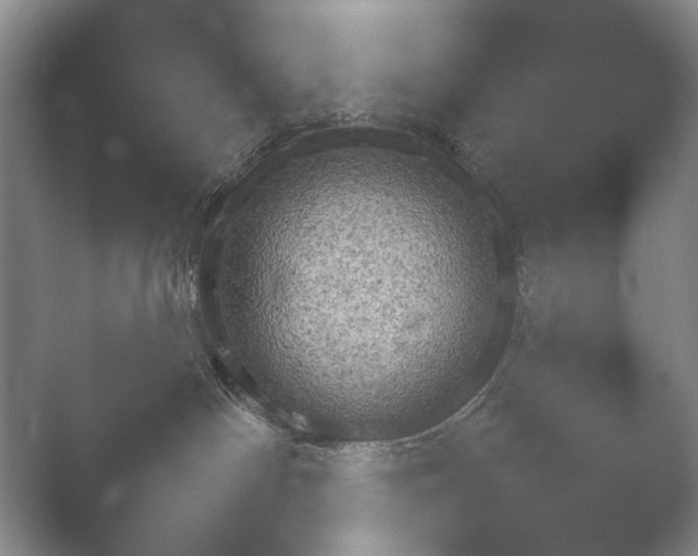 X0000052150142200507052001.png