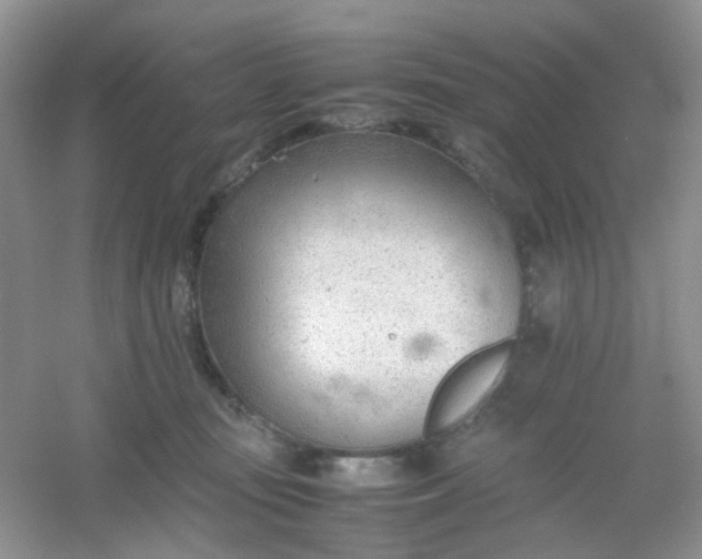 X0000054330371200508111925.png