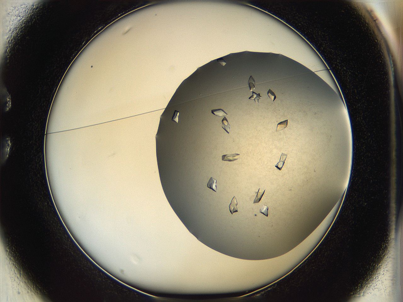 05fz_C1_ImagerDefaults_9.jpg