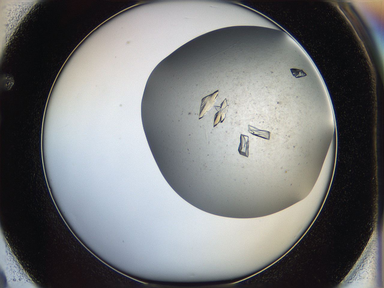05fz_F2_ImagerDefaults_8.jpg