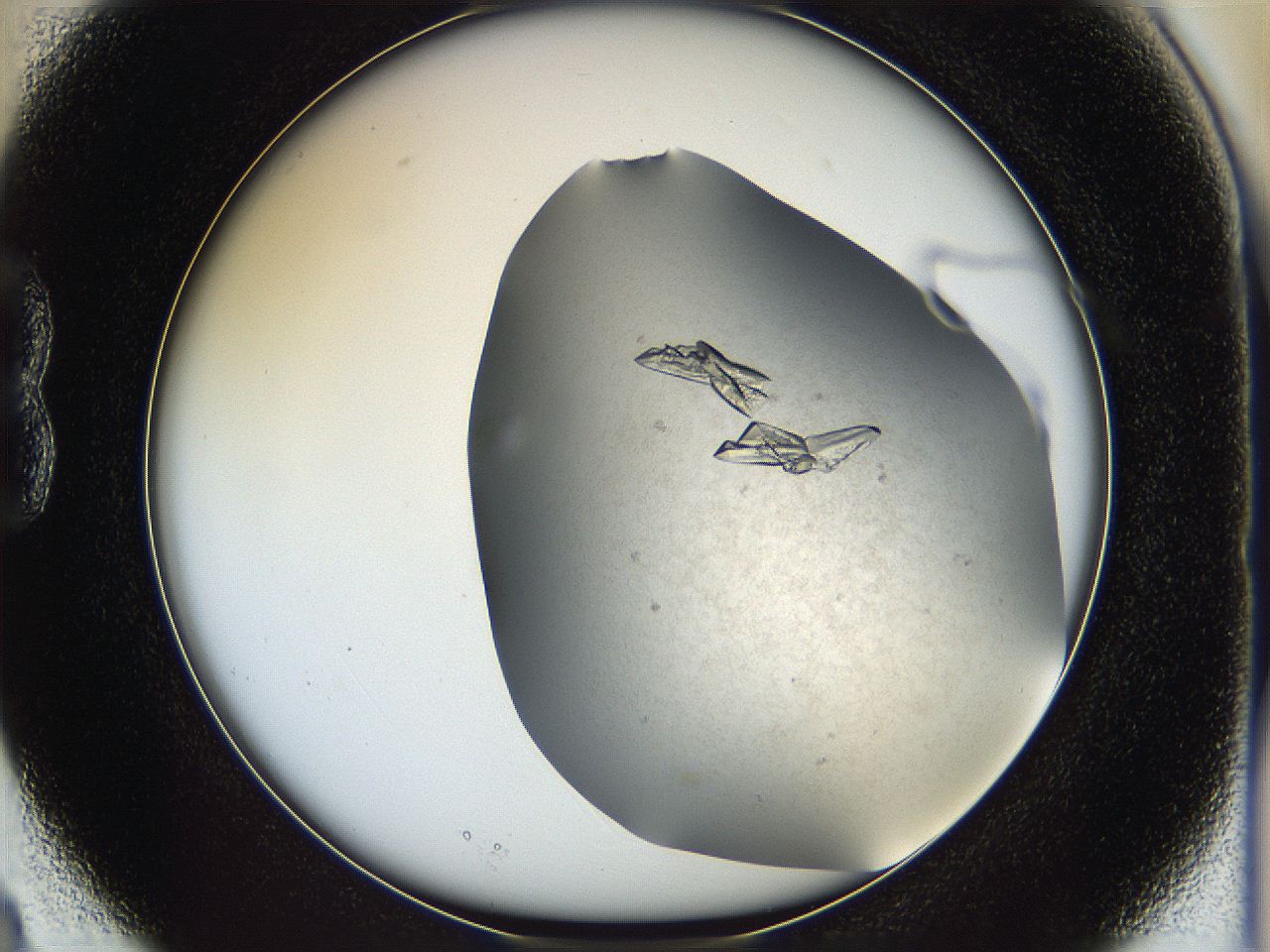 05fz_B3_ImagerDefaults_8.jpg