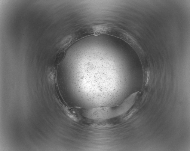X0000054300329200508042317.png