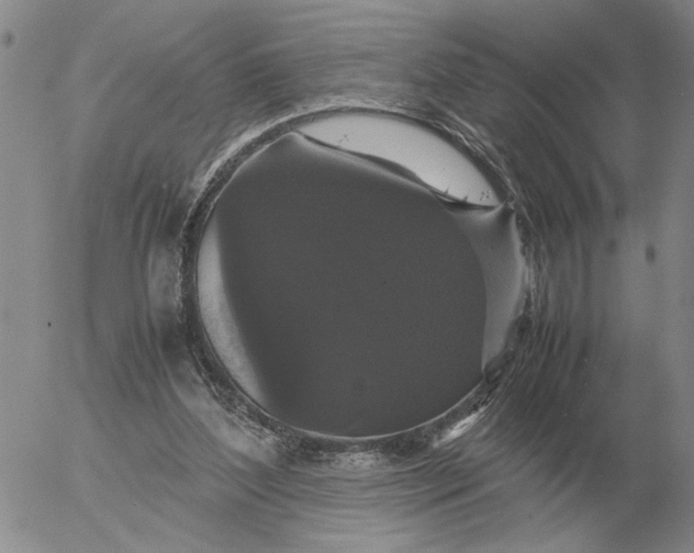 X0000054170204200508101808.png