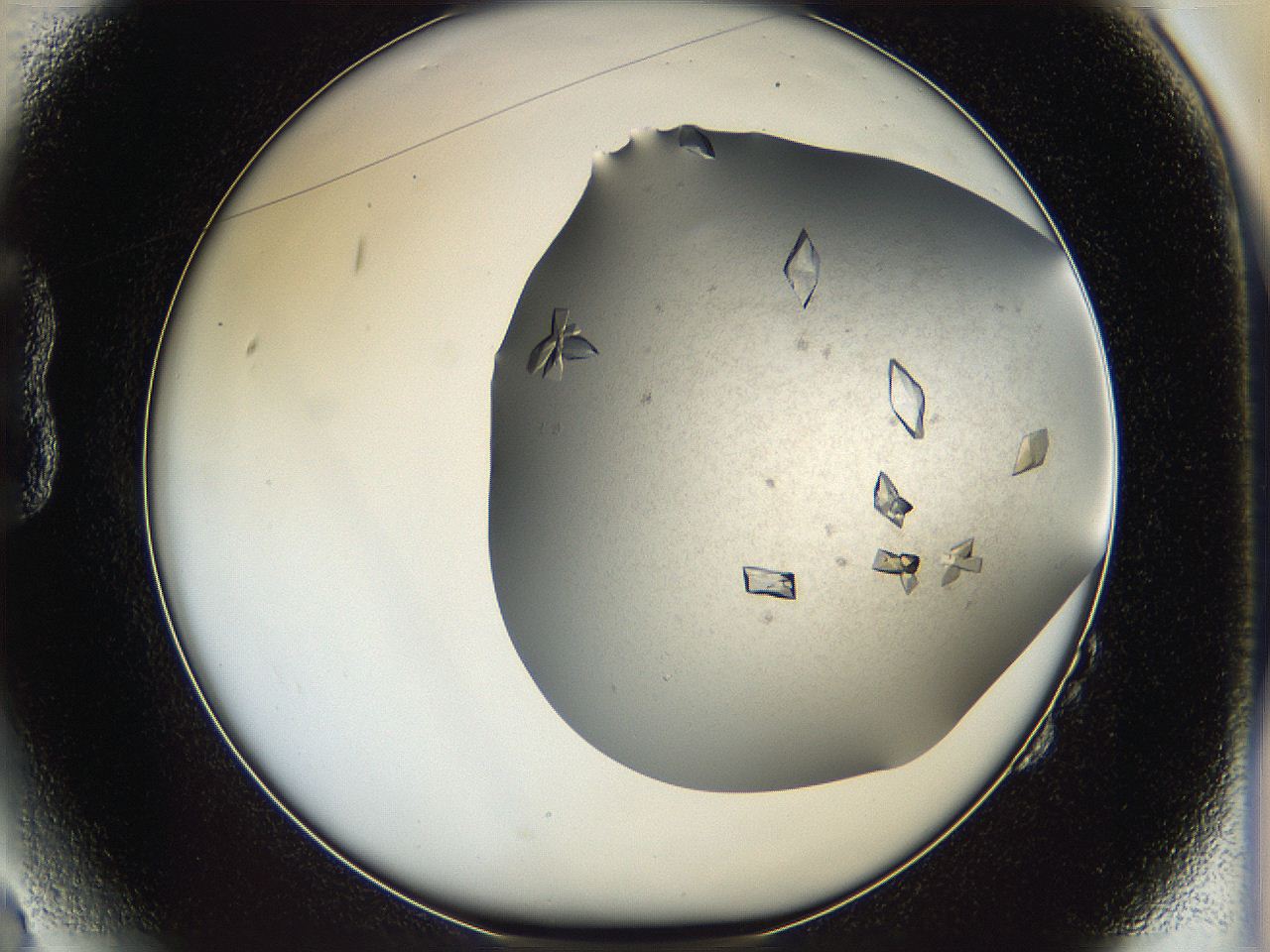05fz_B2_ImagerDefaults_9.jpg