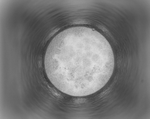 X0000054270833200508261914.png