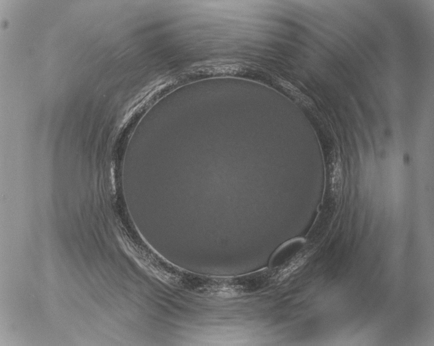X0000054170254200508101807.png