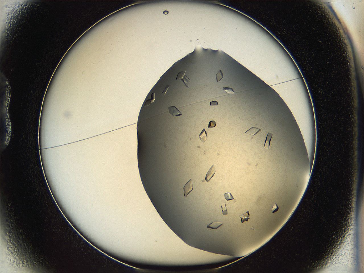 05fz_B1_ImagerDefaults_9.jpg