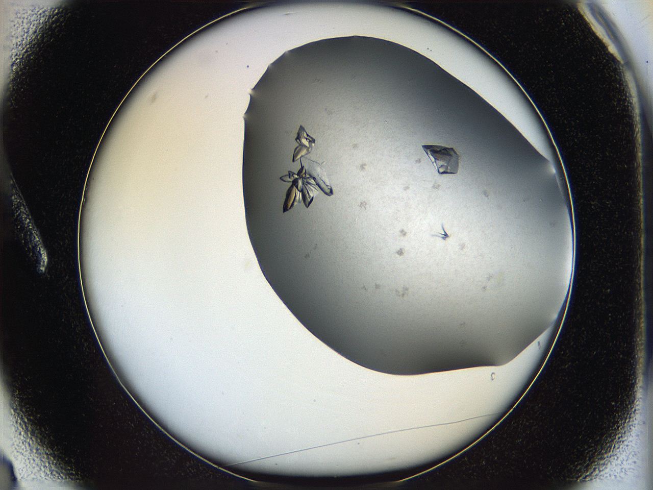 05fz_A3_ImagerDefaults_8.jpg