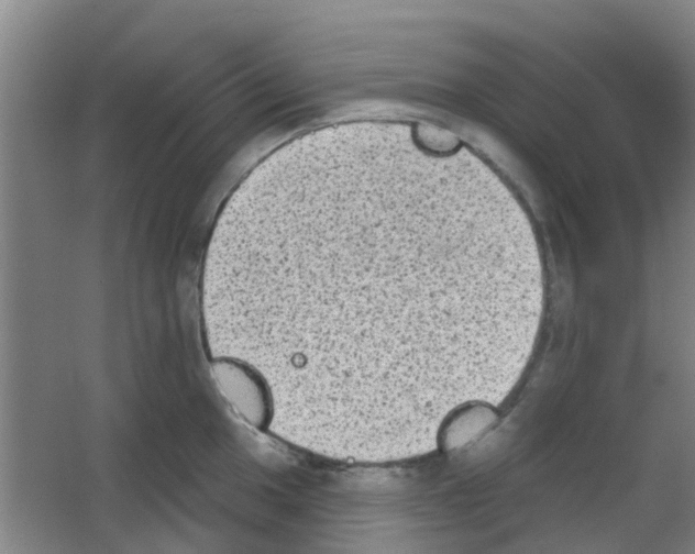X0000053461049200508112152.png