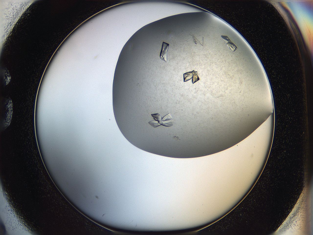 05fz_G2_ImagerDefaults_8.jpg
