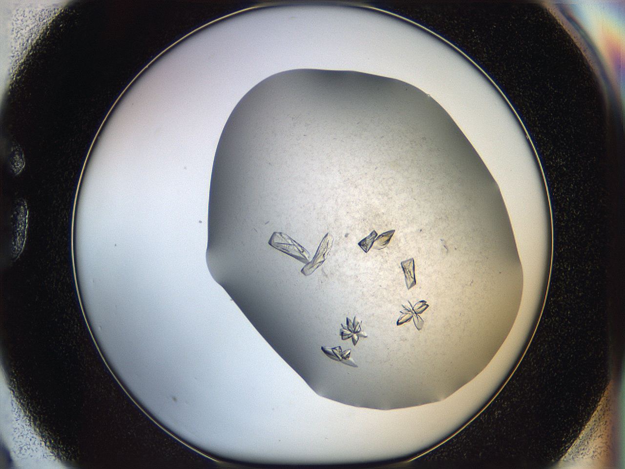 05fz_G3_ImagerDefaults_8.jpg