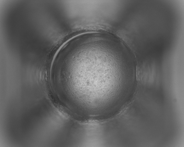 X0000052150157200507052000.png