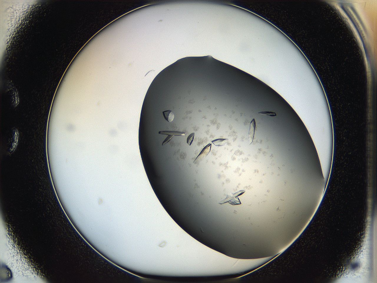 05g1_C6_ImagerDefaults_8.jpg