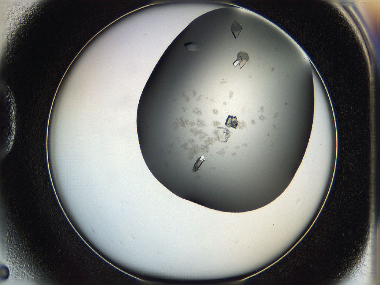 05g1_D5_ImagerDefaults_8.jpg