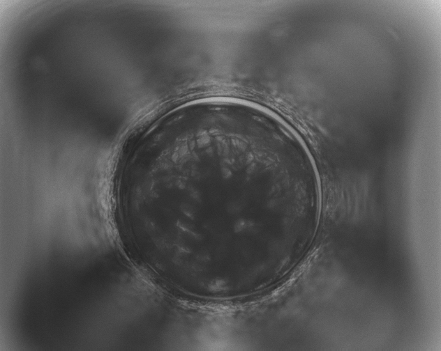 X0000045390245200501241410.png