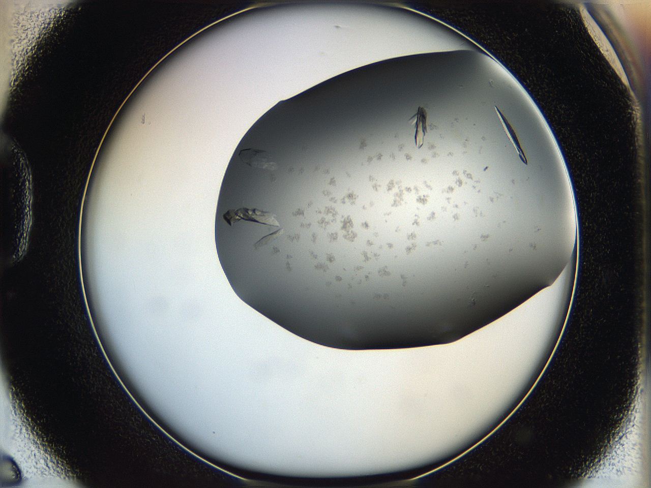 05g1_D6_ImagerDefaults_8.jpg
