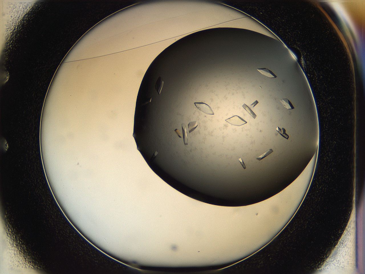 05g1_E1_ImagerDefaults_9.jpg