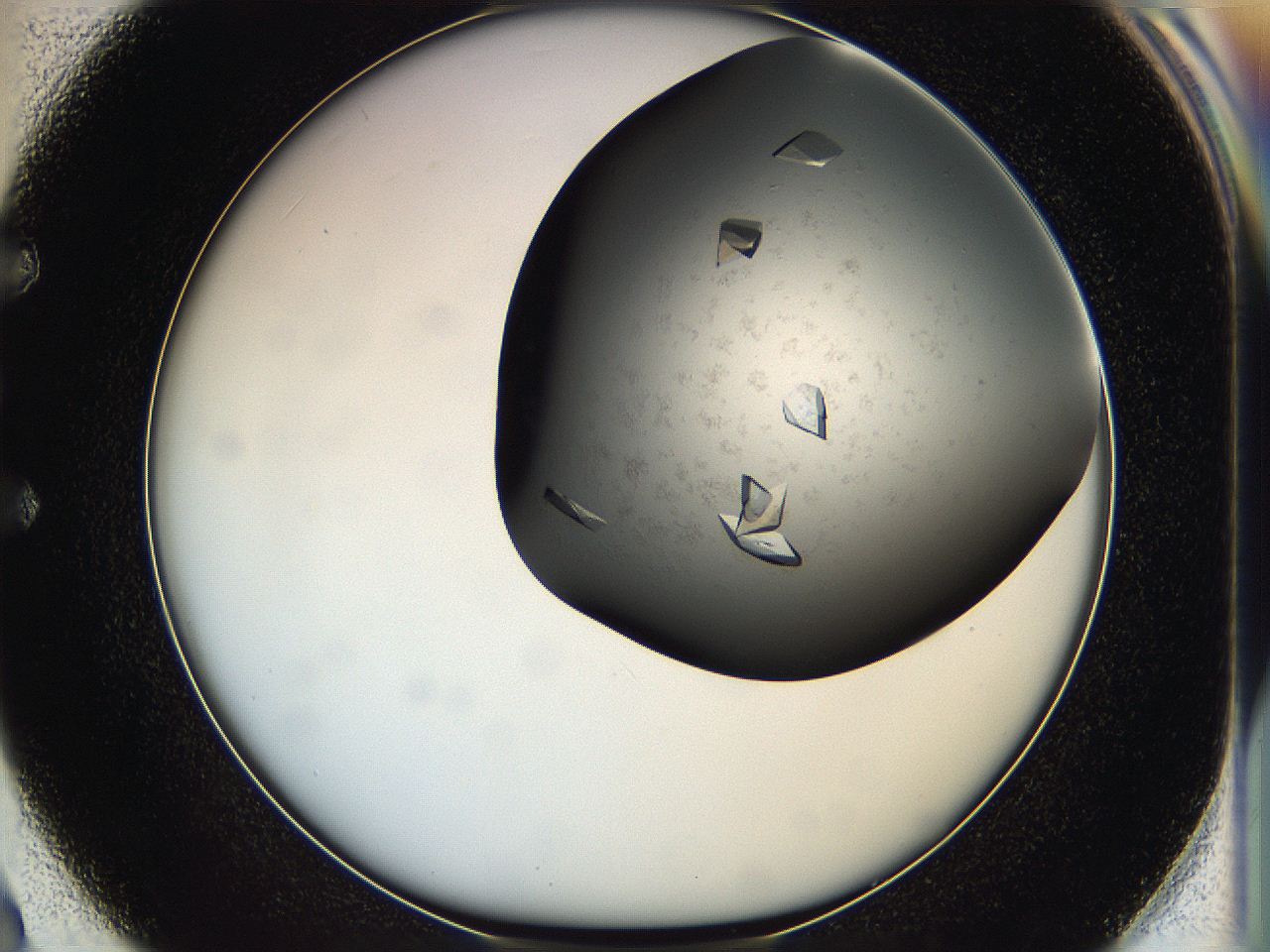 05g1_E2_ImagerDefaults_9.jpg