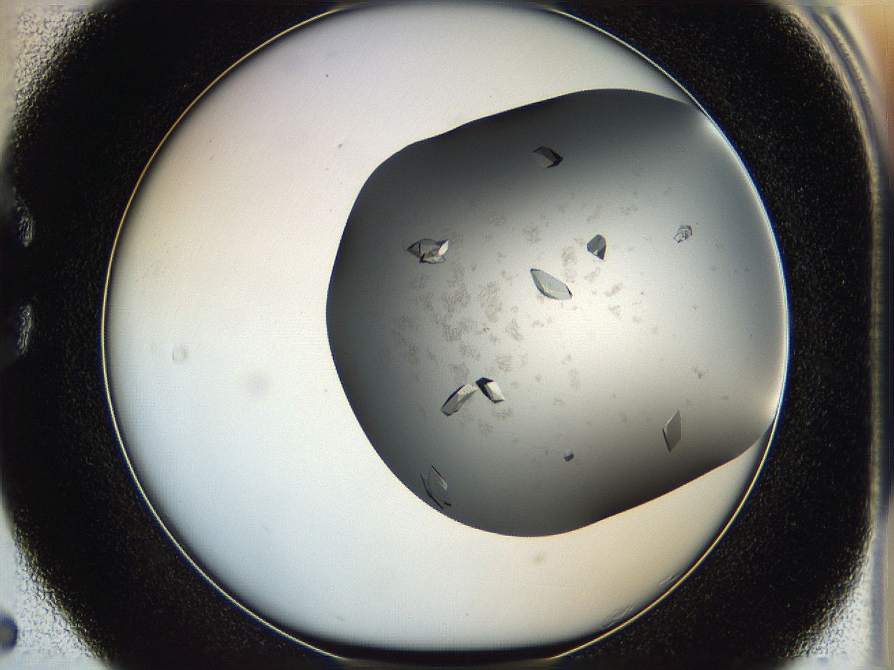 05g1_C5_ImagerDefaults_8.jpg
