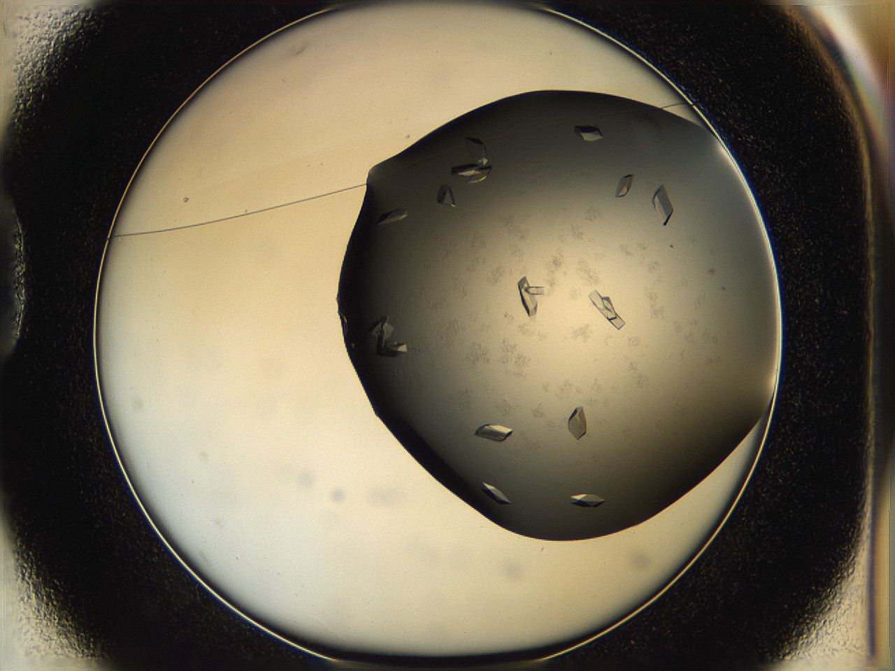05g1_D1_ImagerDefaults_9.jpg