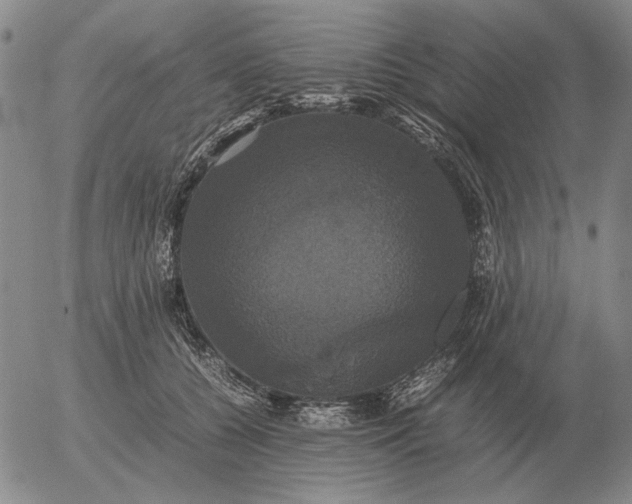 X0000054170560200508101802.png