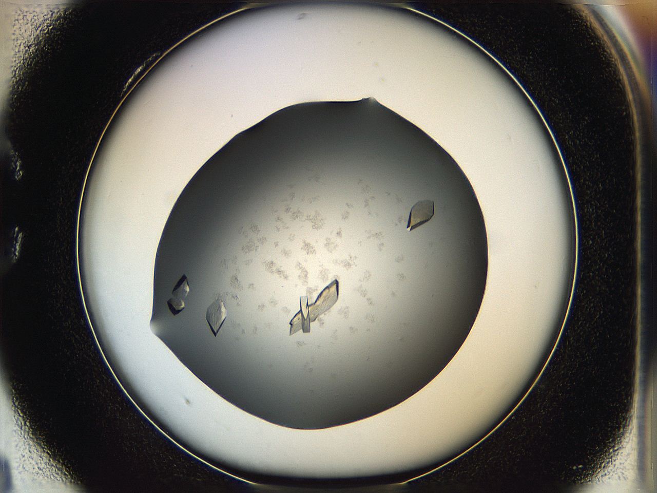 05g1_C4_ImagerDefaults_9.jpg