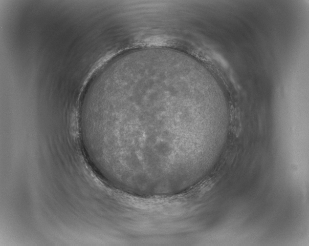 X0000055060012200508161658.png