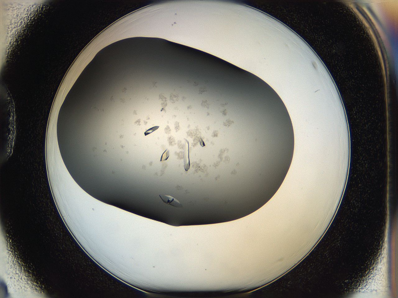 05g1_D3_ImagerDefaults_8.jpg