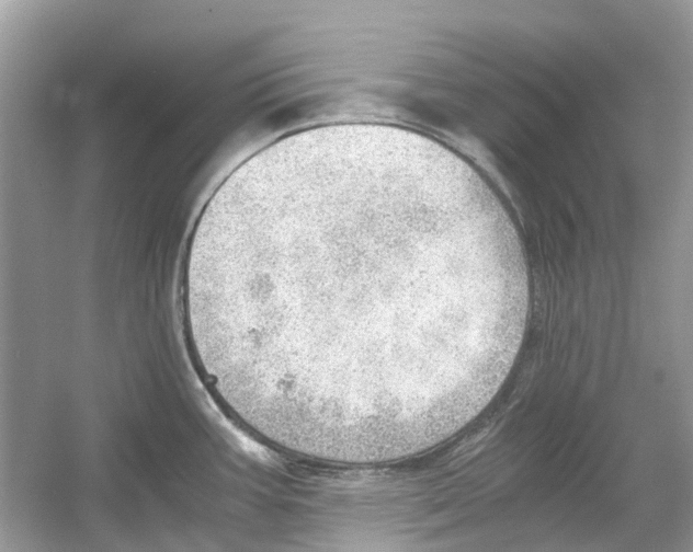 X0000054271387200508261904.png