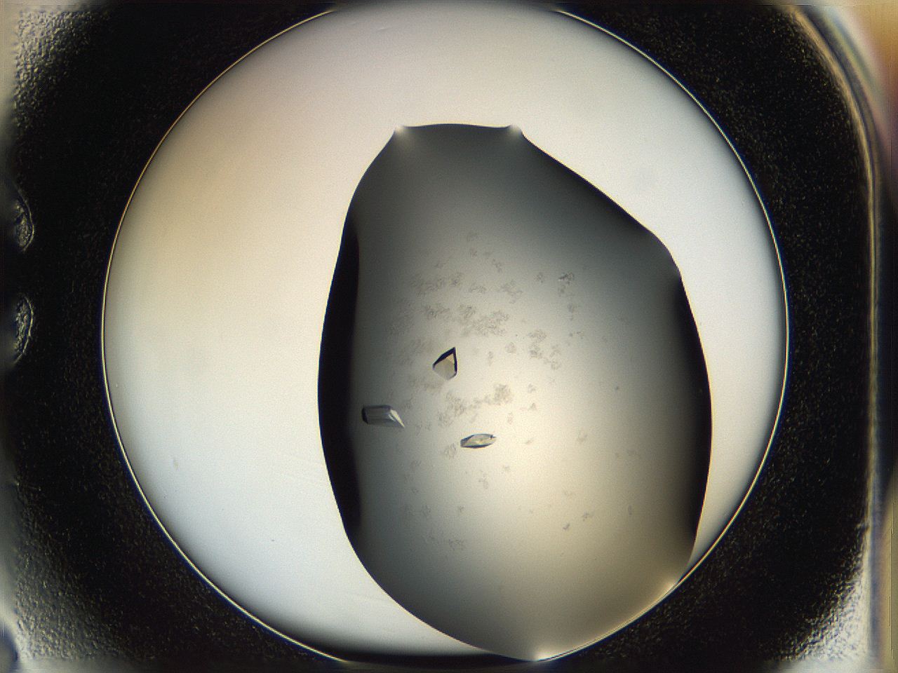 05g1_C3_ImagerDefaults_8.jpg