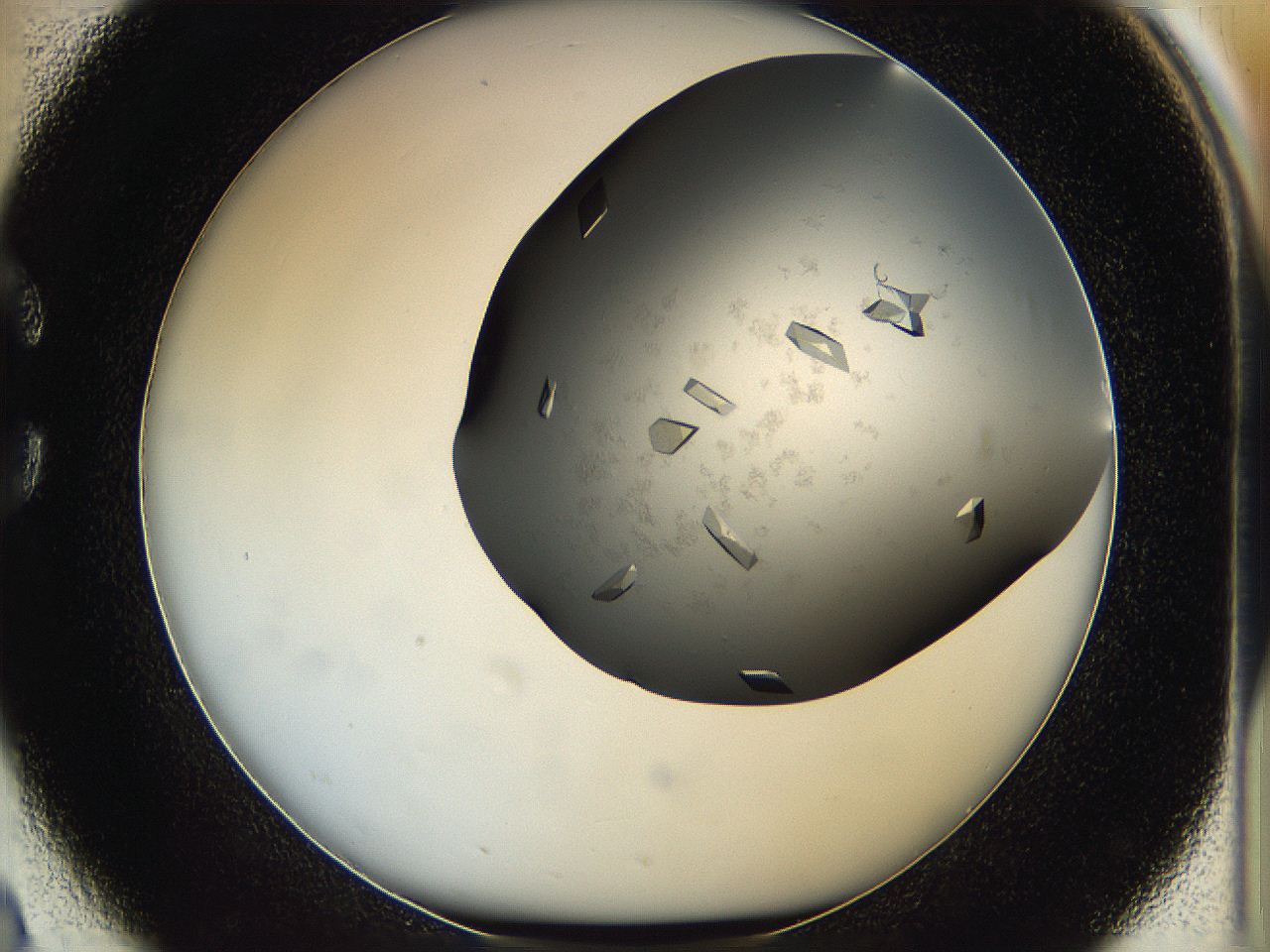 05g1_C2_ImagerDefaults_9.jpg