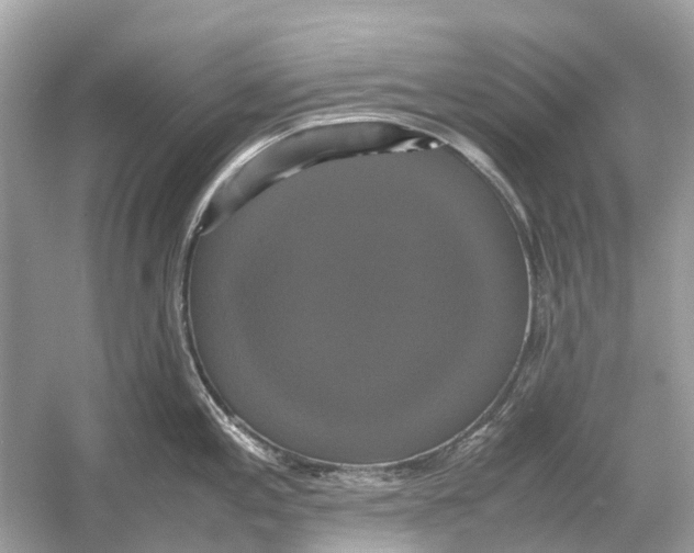 X0000054351197200508190120.png